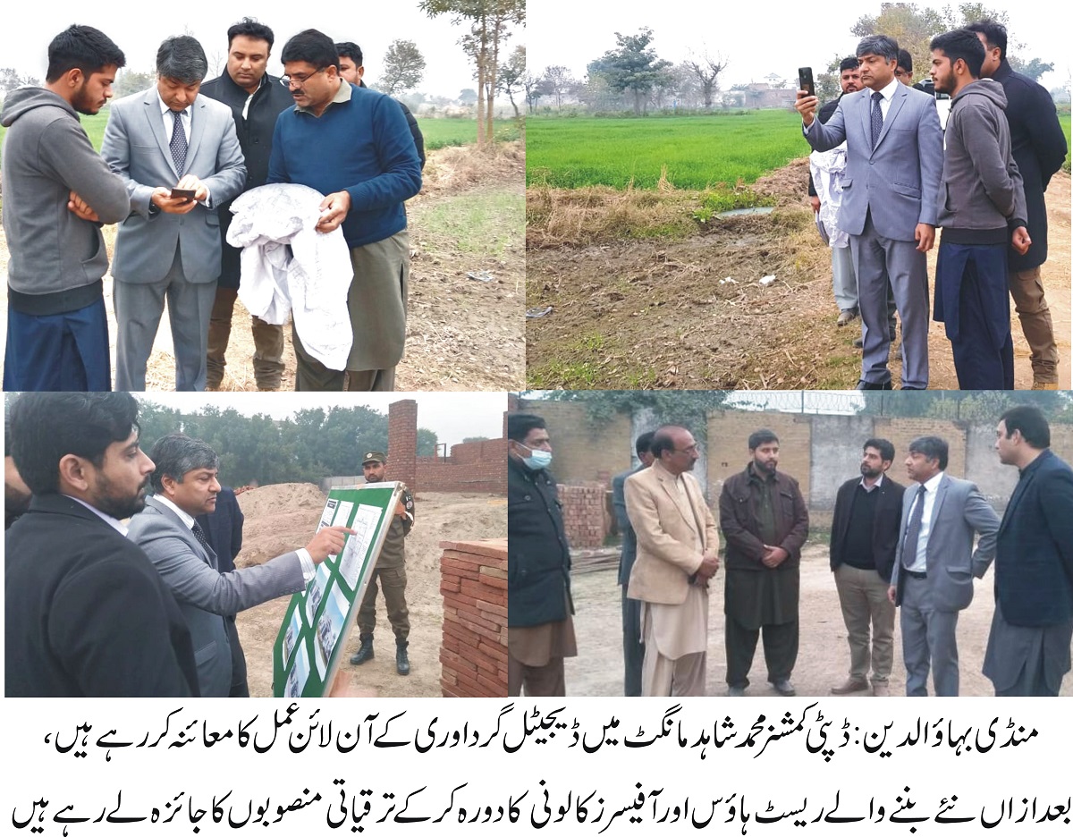 patwari mandi bahauddin