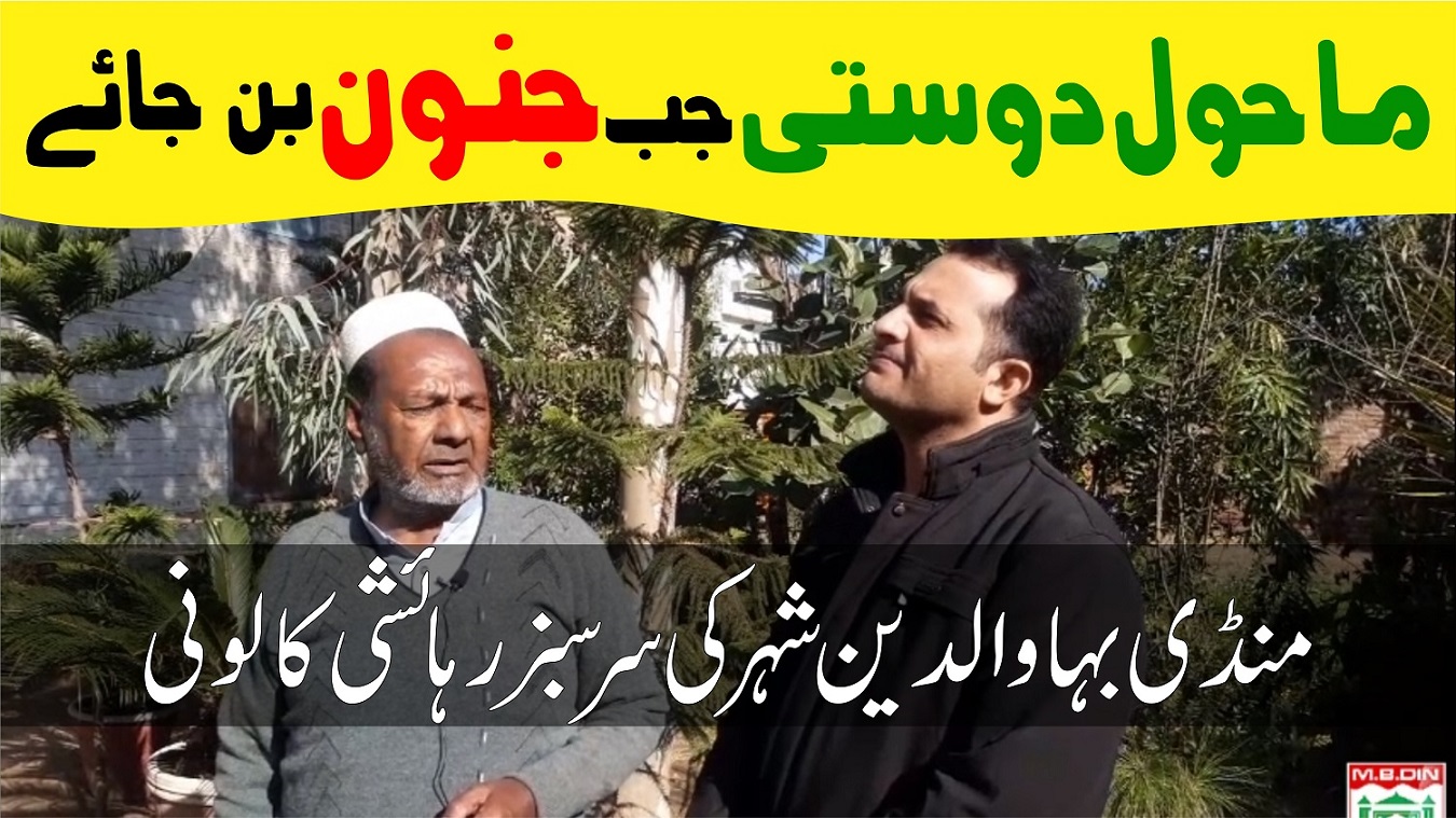 tube well colony mandi bahauddin