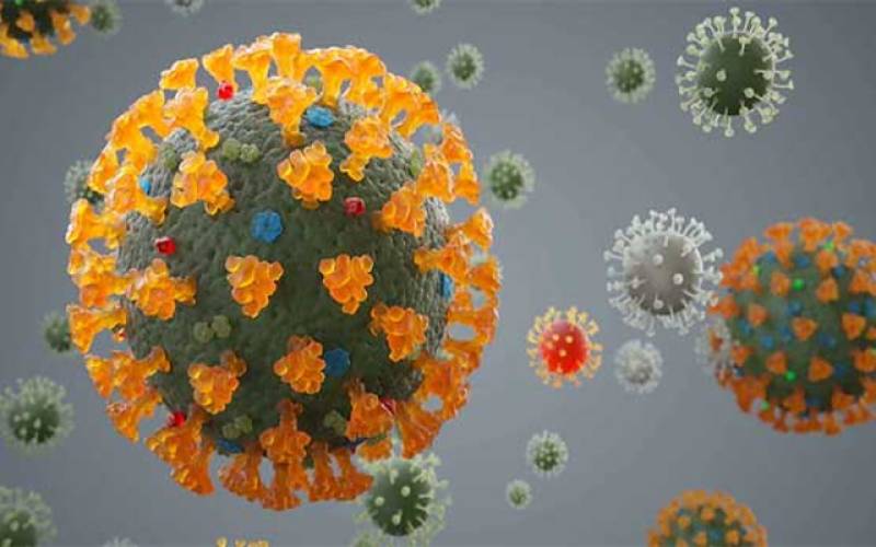 mandi bahauddin corona virus