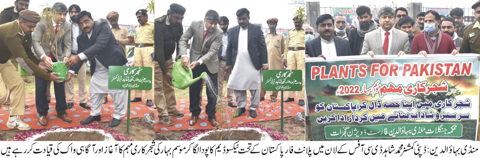 forest department mandi bahauddin