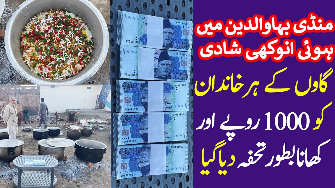 mandi bahauddin wedding 2022