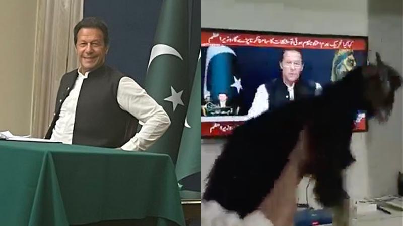 imran khan