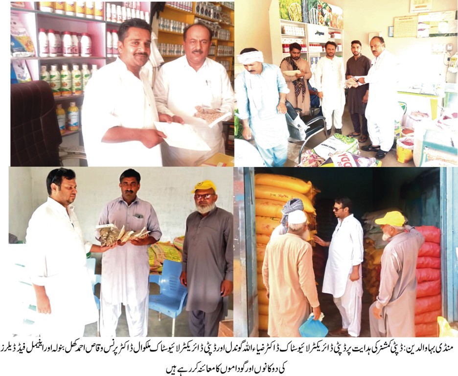 mandi bahauddin live stock