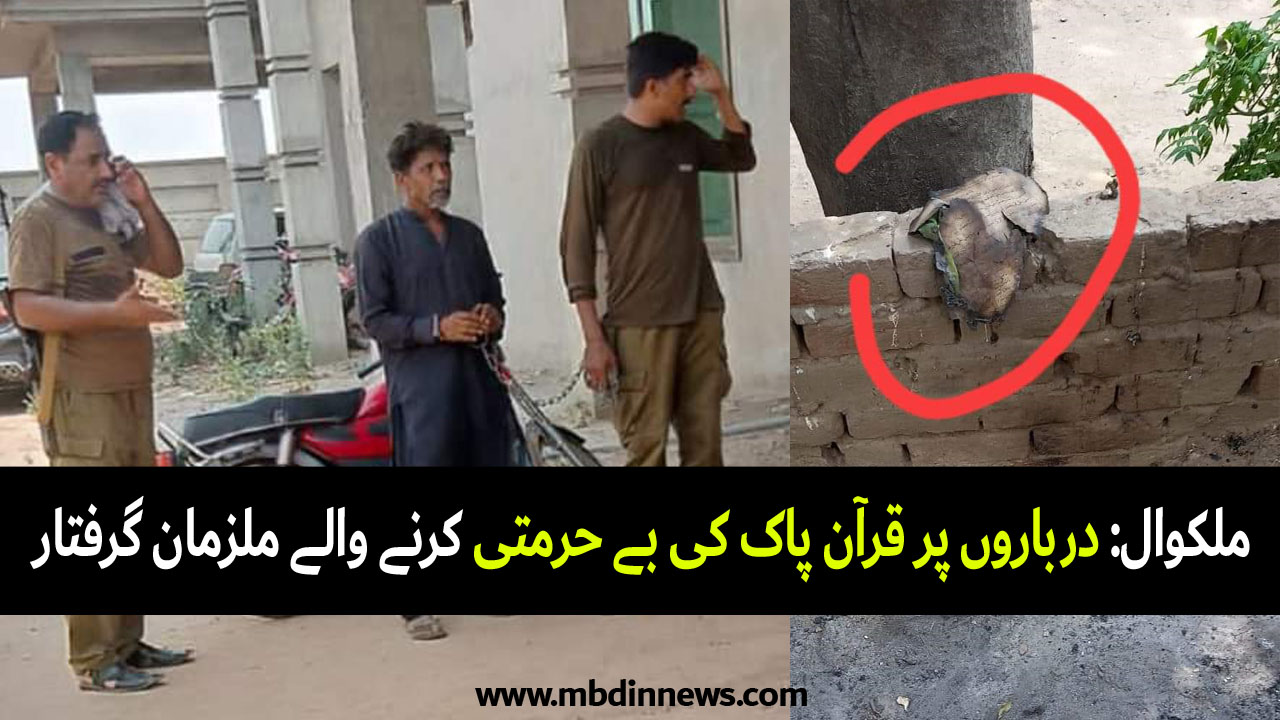 burning of quran quran