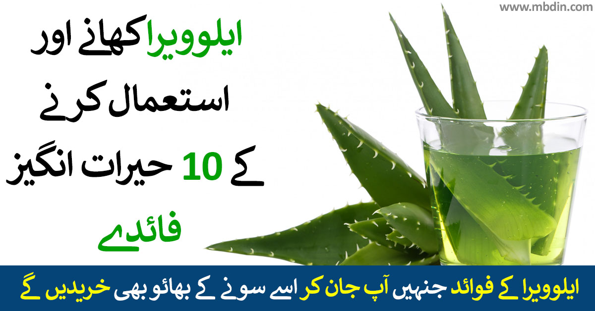 10 Benefits of Aloe Vera gel for skin and hairs in urdu
