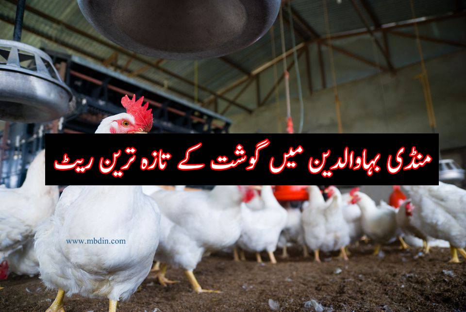 mandi bahauddin chicken rate list