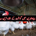 mandi bahauddin chicken rate list