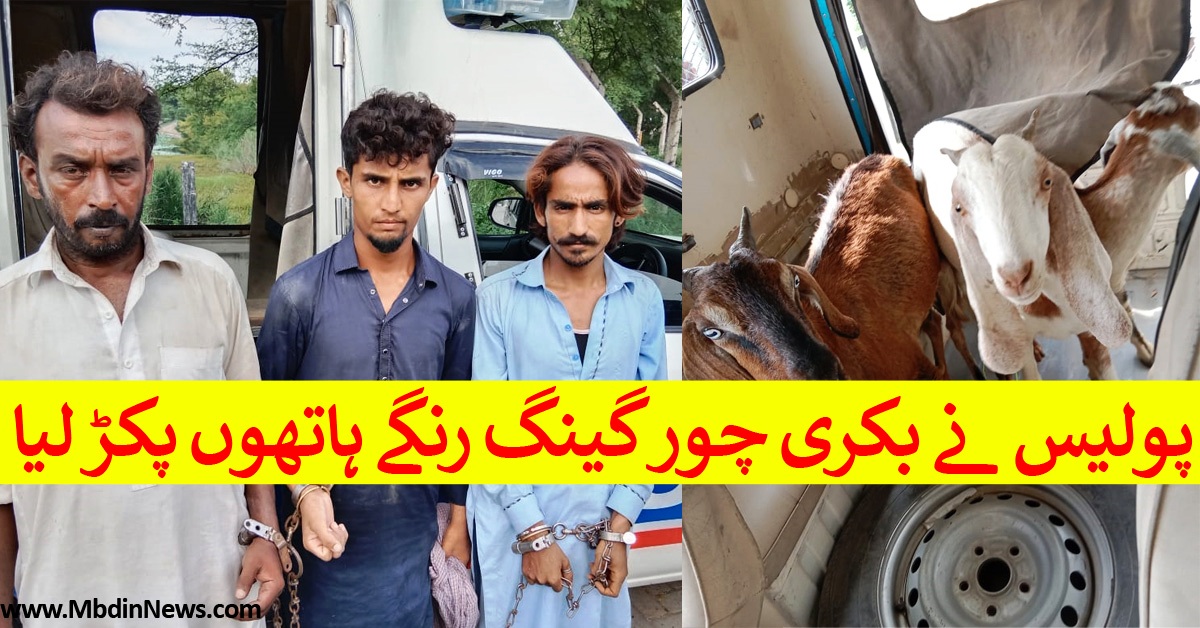 mandi bahauddin police