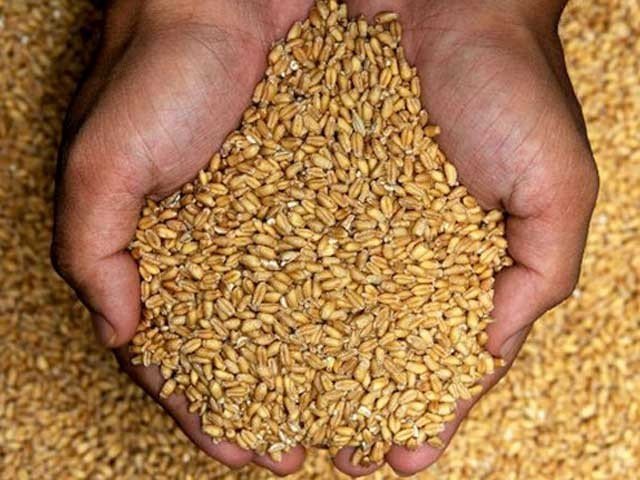 gandum rate in pakistan punjab 2022