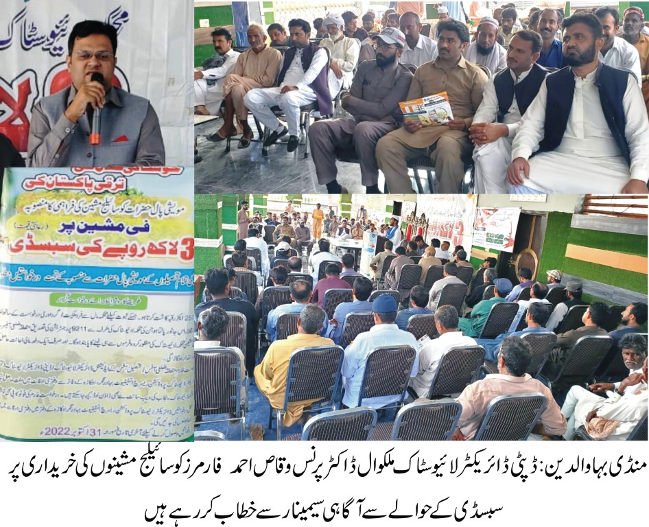 livestock mandi bahauddin