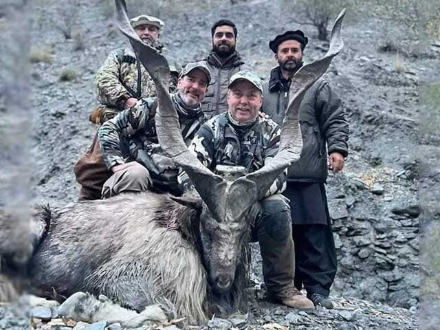 victim of Markhor