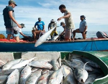 Ban on fishing in rivers for 10 years