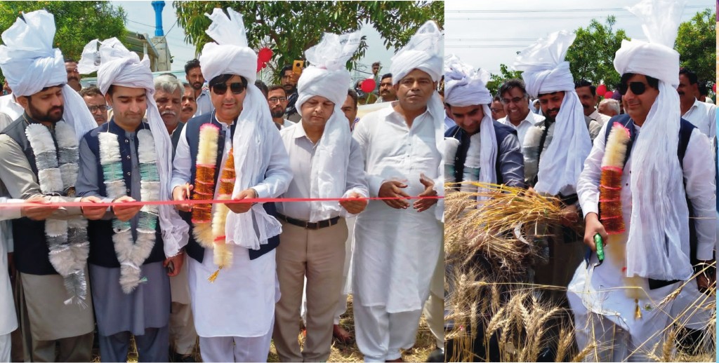 The Deputy Commissioner inaugurated the wheat harvesting campaign in Mandi Bahauddin