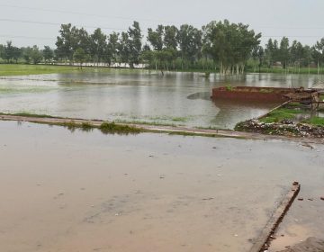 Chak Raib Rain water enters crops and residential areas