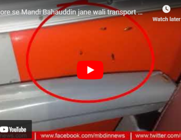 Insects came in the bus from Lahore to Mandi Bahauddin