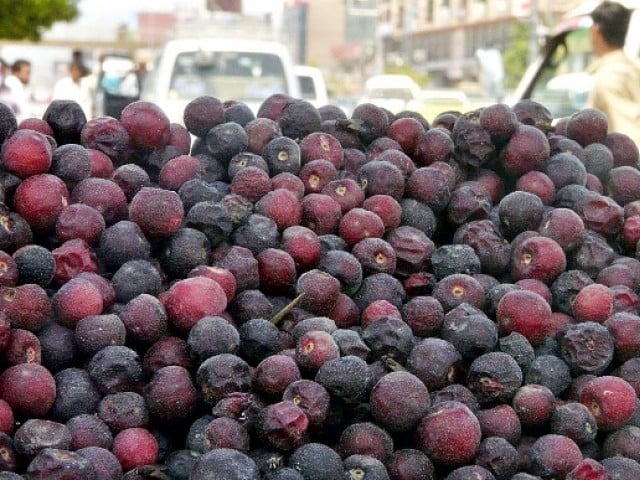 benefits of falsa juice