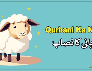 Qurbani Ka Nisab In Islam Per Family and Rules قربانی کا نصاب
