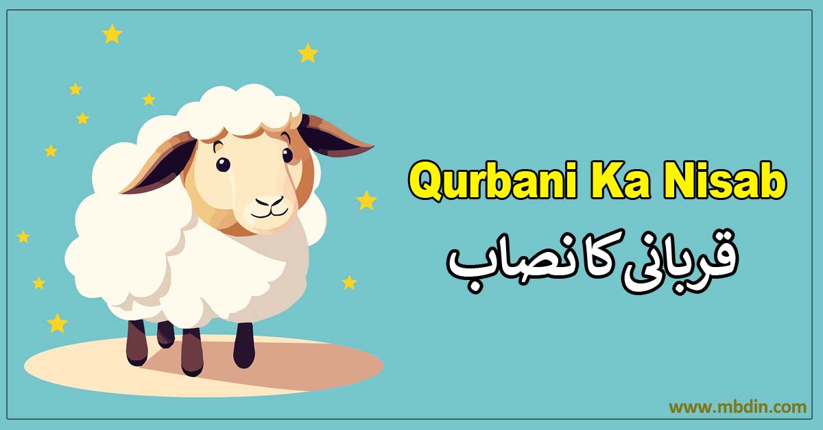 Qurbani Ka Nisab In Islam Per Family and Rules قربانی کا نصاب