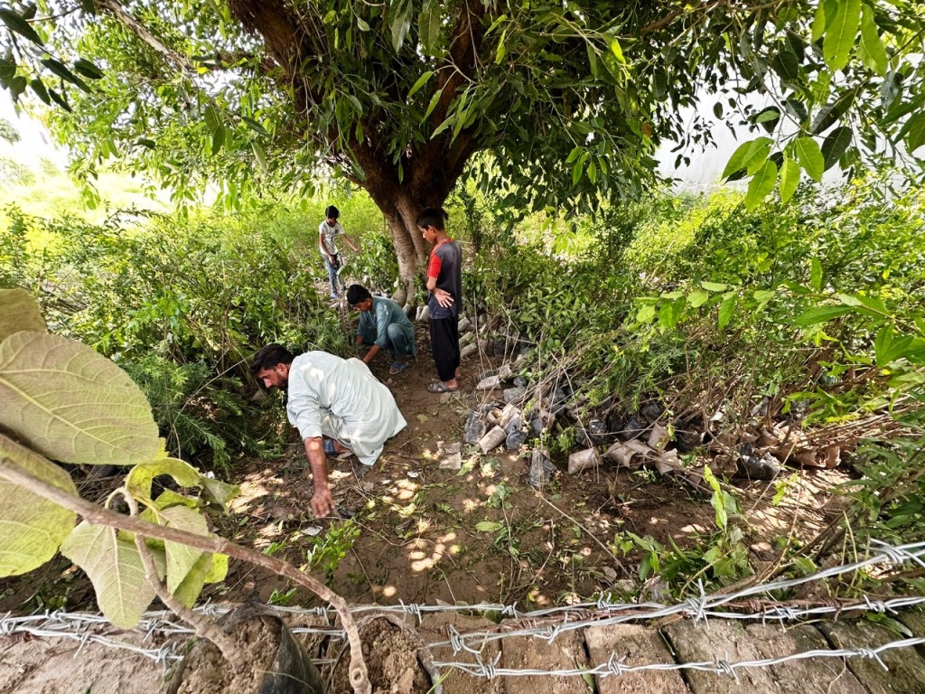 Mong Welfare Society